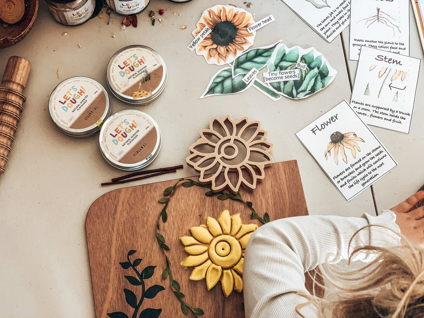 Eco Dough Cutter - Sunflower on a wooden board with educational cards and non-toxic dough, promoting sustainable play.