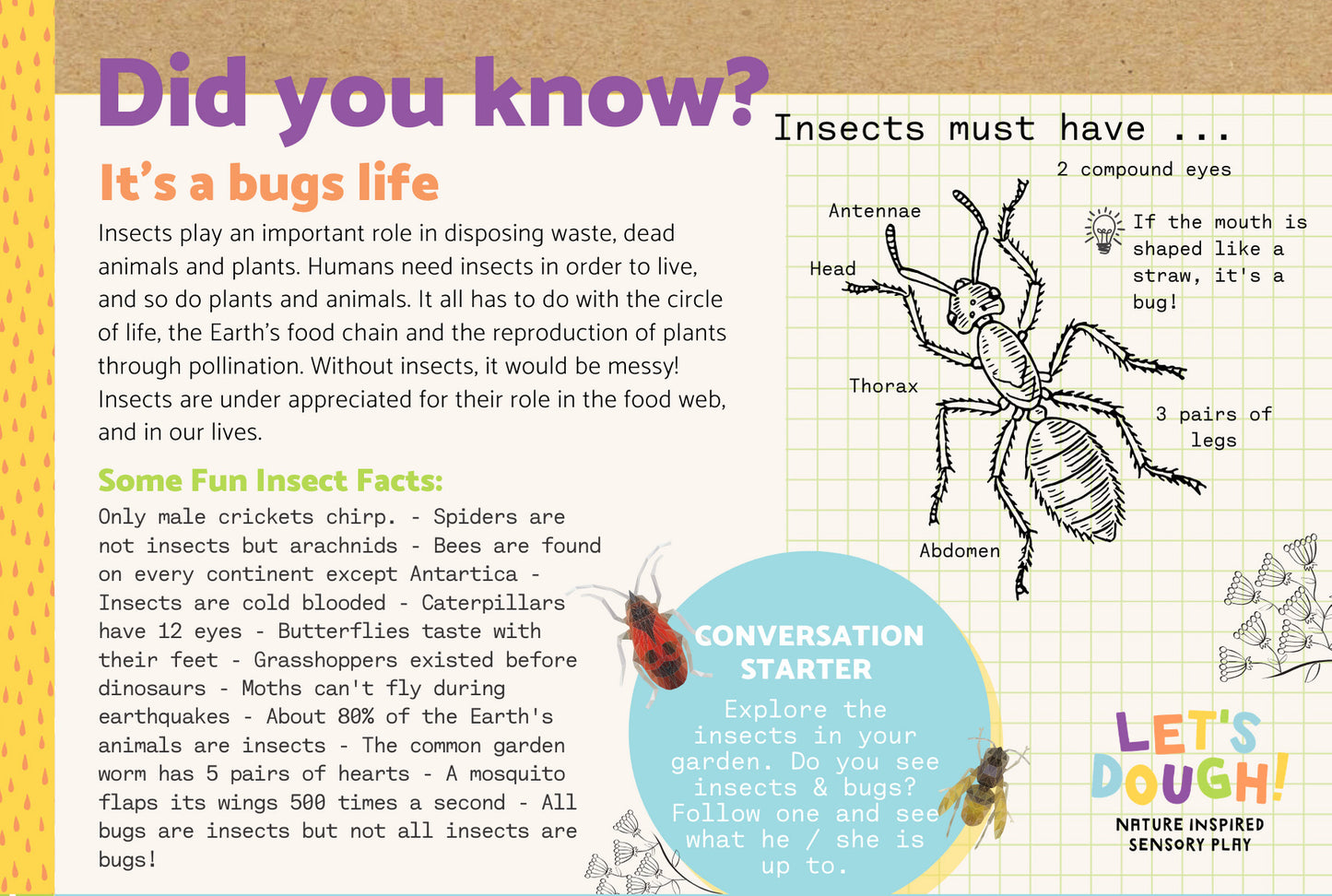 It's a Bug's Life Sensory Kit