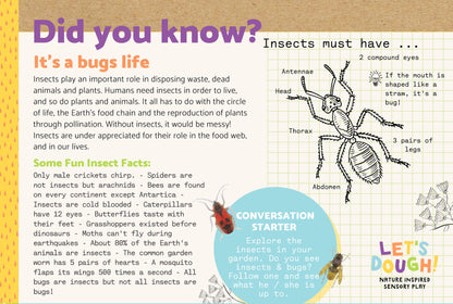 It's a Bug's Life Sensory Kit
