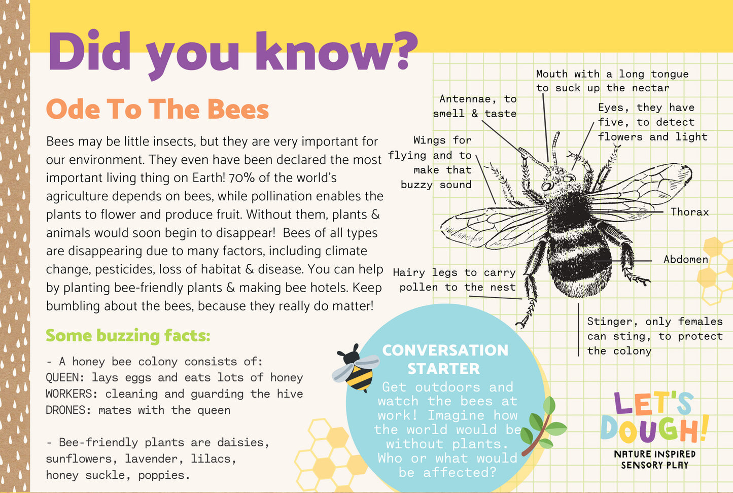 Ode to the Bees Sensory Kit