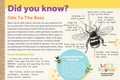 Ode to the Bees Sensory Kit